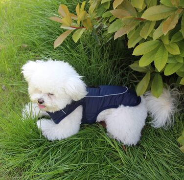 Флісова нашийникова стрічка JoyDaog для собак середніх порід, водонепроникна куртка для собак з бавовни, тепла зимова, (S, Синій)