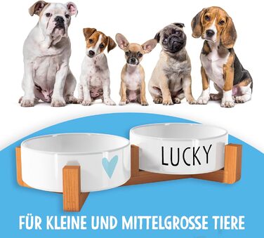 OWLBOOK Миска для собак з гравіюванням імені, подвійна миска для корму та води, кераміка, бамбук, 300 мл (синя зіркочка)