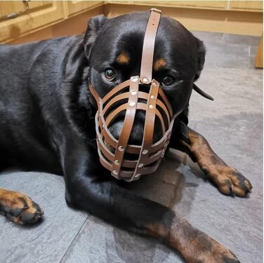 Намордник з натуральної шкіри для American Bully, Bully XL та схожих порід