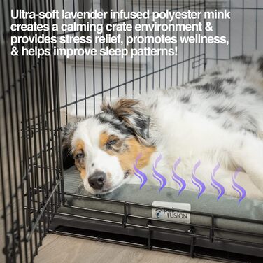 Охолоджувальне ортопедичне ліжко для собак XS, з меморі піною, проти тривоги, для всіх сезонів, 53x30 см