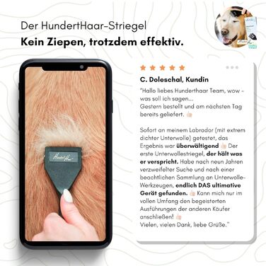 Щітка для котів та собак Striegel, аксесуари для собак, видалення шерсті | Зроблено в Німеччині (Тип C)