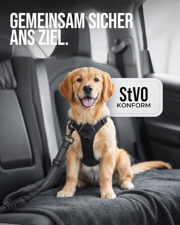 Автогурт для собак 'Argo' – регульований безпечний ремінь з амортизацією та ISOFIX, підходить для всіх порід (Чорний, S, 35-45 см)