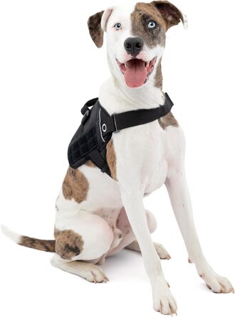 Шлейка для собак Kurgo RSG, навчальна жилетка з ручкою, світловідбиваюча, сумісна з MOLLE, розмір XL (Townie, чорний, середні породи)