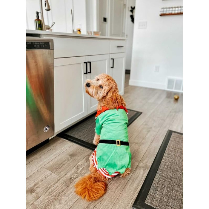 Костюм собаки та ельфа Midlee, розмір L (Large)