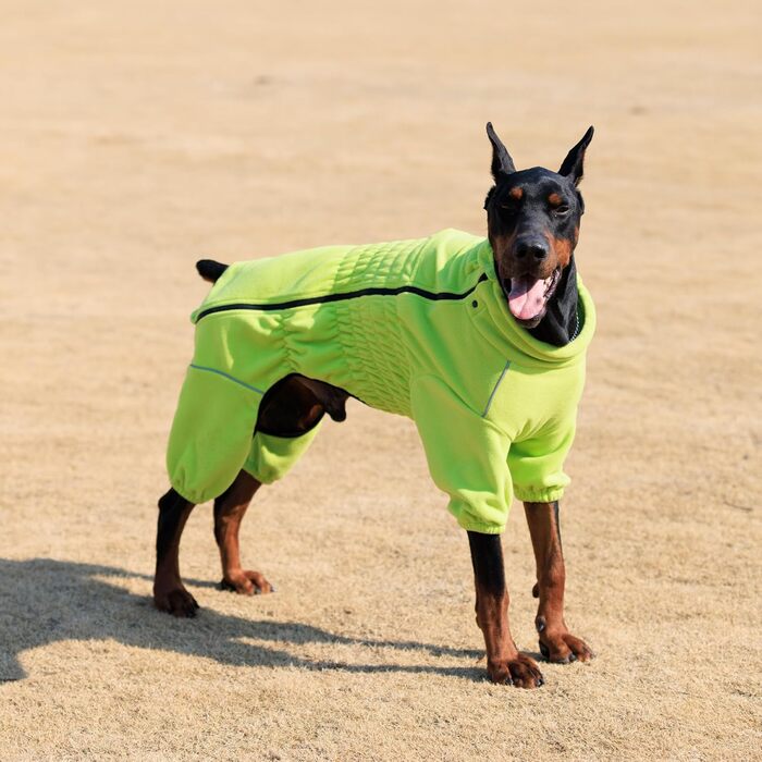 Зимовий теплий одяг для собак, тепла куртка для собак, флісовий одяг для собак з блискавкою, одяг для собак на вулицю Green XXL