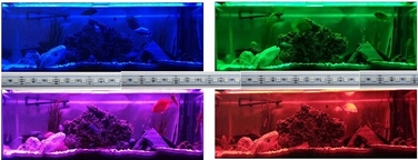 Декоративне RGB-освітлення для акваріума, матове, 110 см