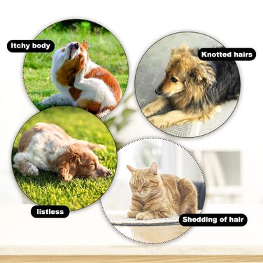 Двостороння щітка для грумінгу собак та котів з дерева, піни та щетини, для короткої та довгої шерсті (великий)