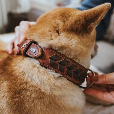 Нашийник для собак HUNTER EL PASO, шкіряний, плетіння, розмір S-M, колір cognac/чорний