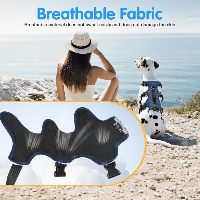 Світловідбиваючий нашийник для собак з LED підсвічуванням, перезаряджуваний, з м'якою ручкою, 3 регульовані розміри, водонепроникний, для середніх та великих собак, зелений (блакитний, XL)