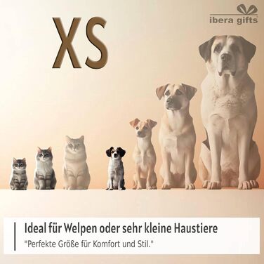 Персоналізований нашийник для собак, з іменем, середнього розміру, 35-50 см, світловідбиваючий (M)