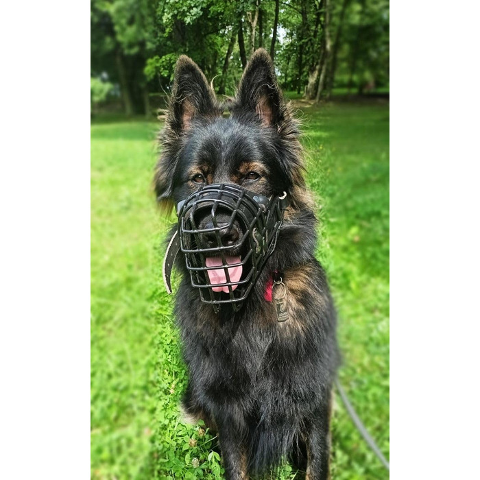 Металевий намордник із гумовим покриттям Dingo Gear для німецької вівчарки, професійний, універсальний, зручний, для довгих прогулянок