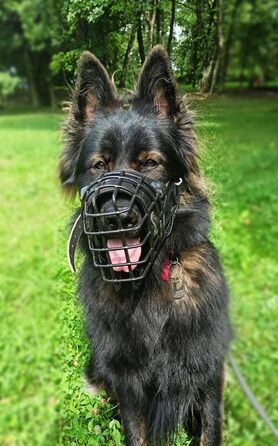 Металевий намордник із гумовим покриттям Dingo Gear для німецької вівчарки, професійний, універсальний, зручний, для довгих прогулянок