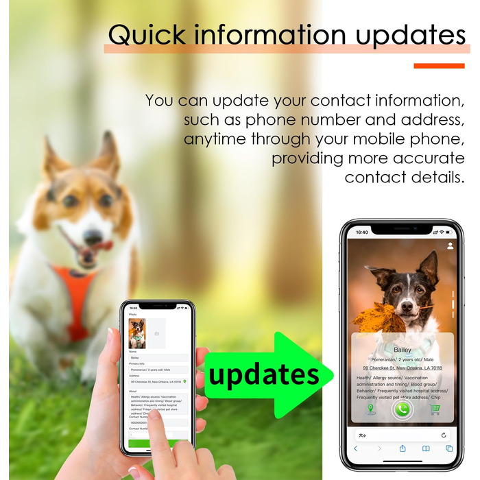 ThinkPet шлейка для собак і котів S, помаранчева, дихаюча, світловідбивна, не натирає, м'яка сітка Air-Mesh з QR-кодом і адресником, для цуценят, дрібних і середніх порід