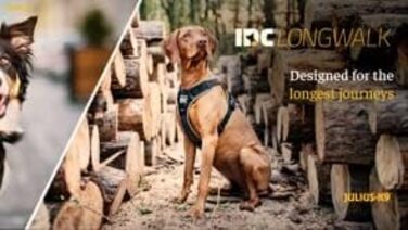 Шлея для собак IDC Longwalk, рожево-сіра, розмір M