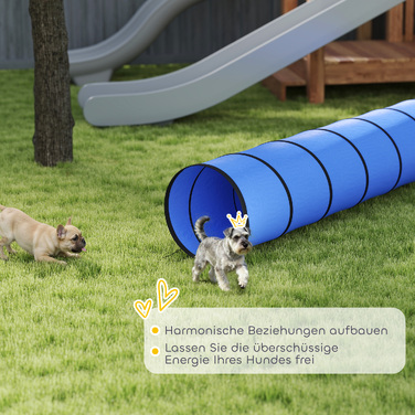 Тунель для собак Agility (300 x 50 см) з 4 анкерами для кріплення та сумкою для перенесення, ігровий тунель для малих та середніх порід, синій