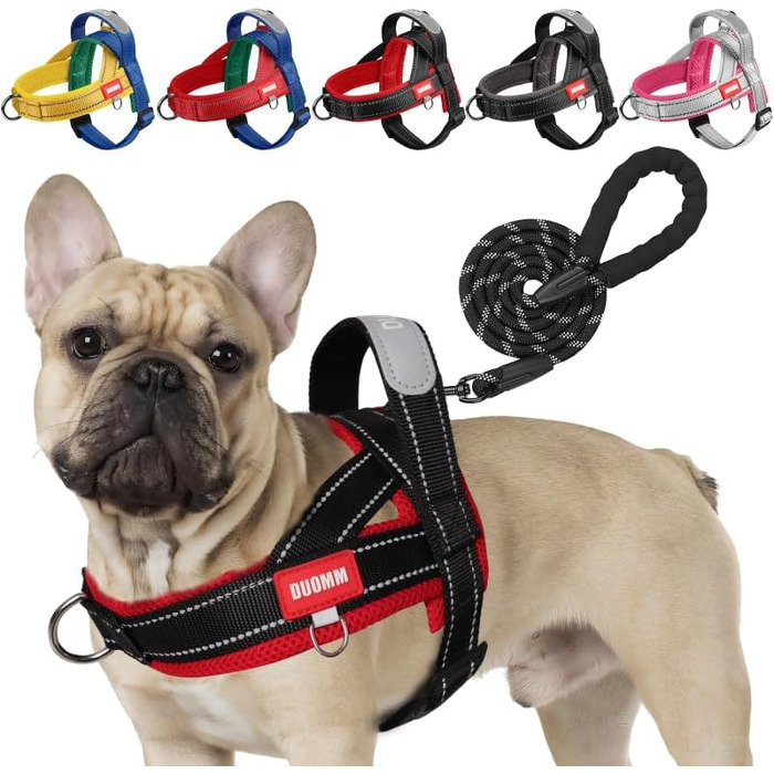 Нашийник для собак середніх та маленьких порід, цуценят, кольоровий, з м'якою підкладкою, з ручкою та кільцем, світловідбиваючий, легкий, чорно-сірий, (M, чорний+червоний)