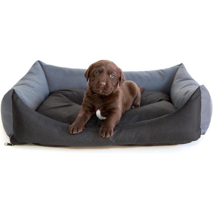 М'яке ліжко-софа для собак великих порід, чорний/графітовий колір, розмір L (62x43 см)