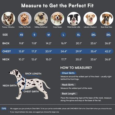 Зимовий теплий водонепроникний одяг для собак Queenmore, куртка для собак з шлейкою, 3-шарова, світловідбиваюча, для великих порід (лабрадор, хаскі, голден ретрівер) (Морська хвиля, 2XL) XXL Морська хвиля