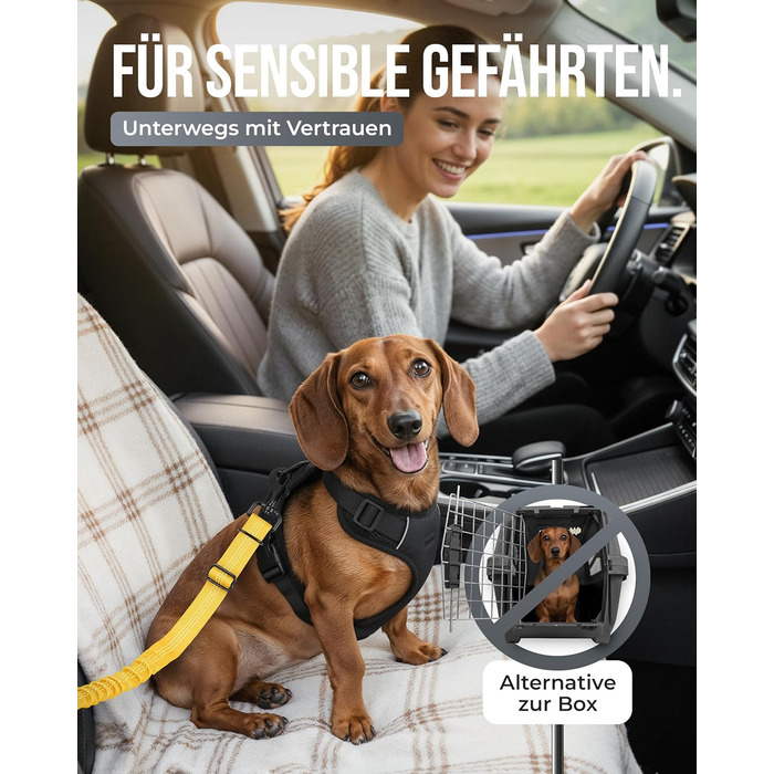 Автогурт для собак 'Argo' – регульований, з амортизацією та ISOFIX, для всіх порід (S, жовтий, 35-45 см)
