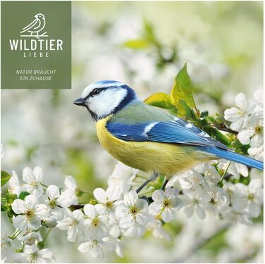 Лопатка-труба для корму Wildtier Liebe, тримач для наповнення годівниць для птахів, зручний тримач-труба для насипання корму у годівницю, силос або фідер, пластиковий інструмент для дикого птаха