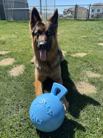 Іграшка для собак Jolly Pets Tug-n-Toss 20 см, блакитна