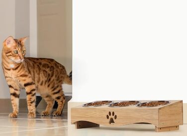 Набір мисок для котів JUJOYBD 3 шт. - підняті миски з нержавіючої сталі, кут нахилу 15°, ергономічна станція для годування котів та маленьких собак