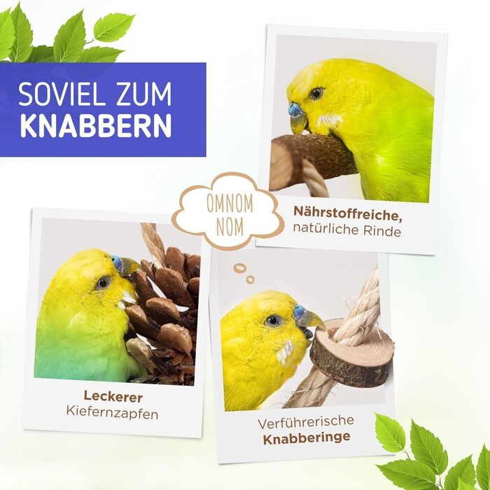 Vogelgaleria® Розкішний ігровий майданчик для птахів з натурального дерева, знімна годівниця, іграшка для хвилястих і корел