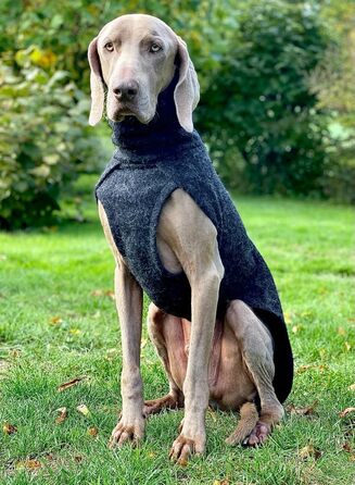 Теплий зимовий одяг для собак EDEL&SCHNELL: вовняна куртка з довгим коміром та світловідбиваючими елементами (65-70 см)