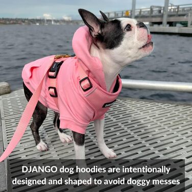 Теплий зимовий худі для собак DJANGO, альпійсько-синій, повністю на підкладці, м'який та еластичний светр з капюшоном для такс і малих порід