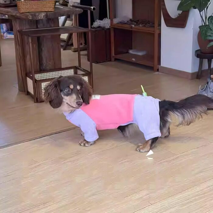 Зимовий теплий халат для такси, флісова куртка для собак, тепла жилетка для маленьких та середніх собак, захист від вітру, повсякденний одяг, 3XL