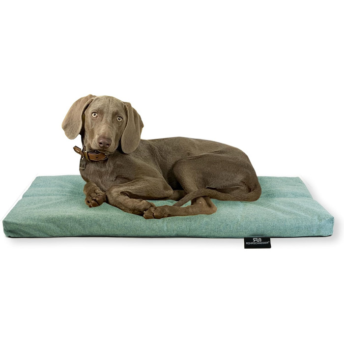 Лежанка для собак Rohrschneider, Made in EU, з антиковзким покриттям, для собак маленьких, середніх та великих порід, також для котів, з мискою, розмір 1 (120 x 75 x 7 см, блакитний)
