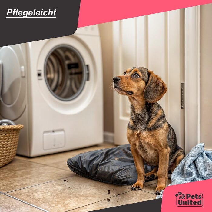 Килимок для собак, лежанка для собак Indoor & Outdoor, м'яке гніздище для собак та котів (M - 75x52 см)