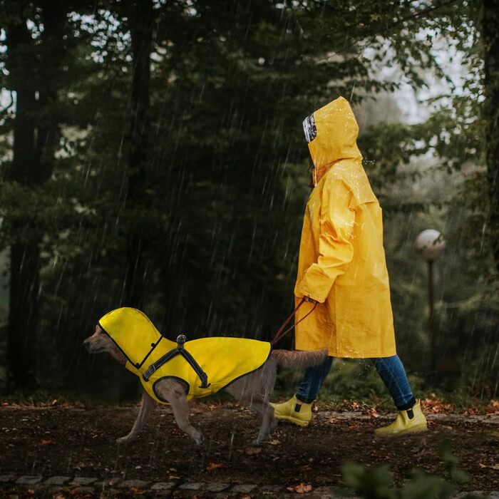 Водонепроникний дощовик для собак Mosucoir з капюшоном, для середніх та великих собак, жовтий (S)
