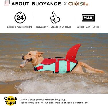 Спасальний жилет для собак у вигляді акули, XL (2XL), червоно-зелений. Безпечний та легкий жилет для водних розваг з ручкою та світловідбиваючими елементами для собак маленьких, середніх та великих порід.