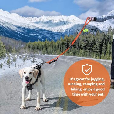 Леєчка для собак IOKHEIRA, регульована (1,2-1,5 м) з надійним кріпленням, комфортна ручка та світловідбиваючі нитки (неоновий зелений, полум'яно-помаранчевий)