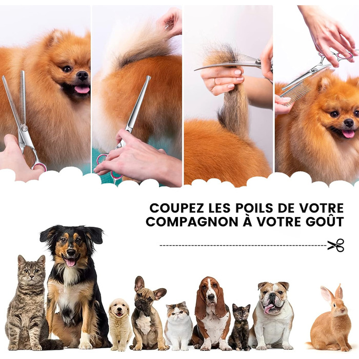 Набір для грумінгу собак: професійна шерстьова ножиця 4CR, нержавіюча сталь, гребінець, безпечний закруглений наконечник