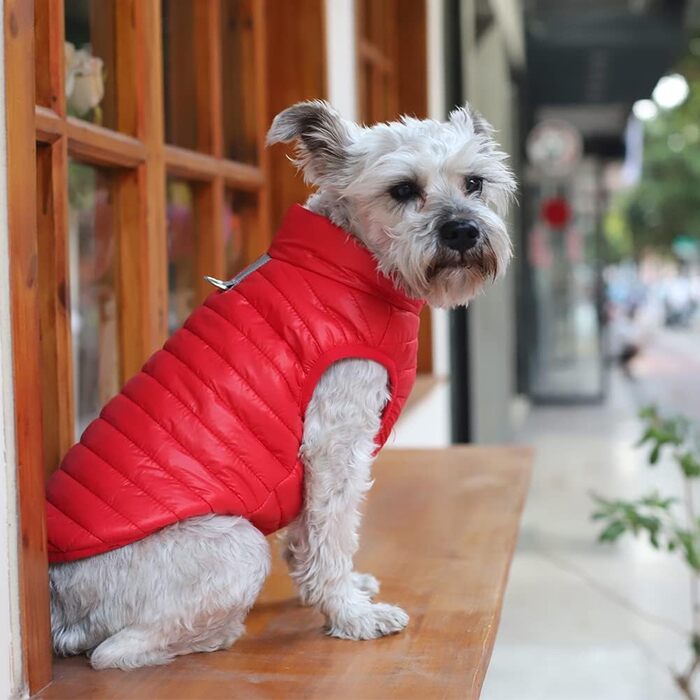 Зимовий одяг для собак: тепла, водонепроникна жилетка з наповнювачем для маленьких та середніх собак, червона, XL