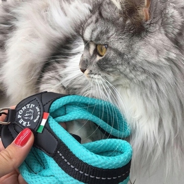 Шлейка для собак та котів TRE PONTI Mesh XXS 25-35 см, м'ятна