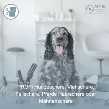 Преміум ножиці для собак NTS-Solingen: ножиці для догляду за шерстю, ножиці для гриви (6.0'-9.0'), нержавіюча сталь, 15-23 см, Solingen, Німеччина