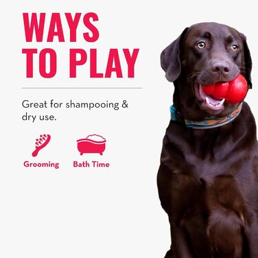 KONG ZoomGroom - щітка для грумінгу та миття собак, великі породи (червона)