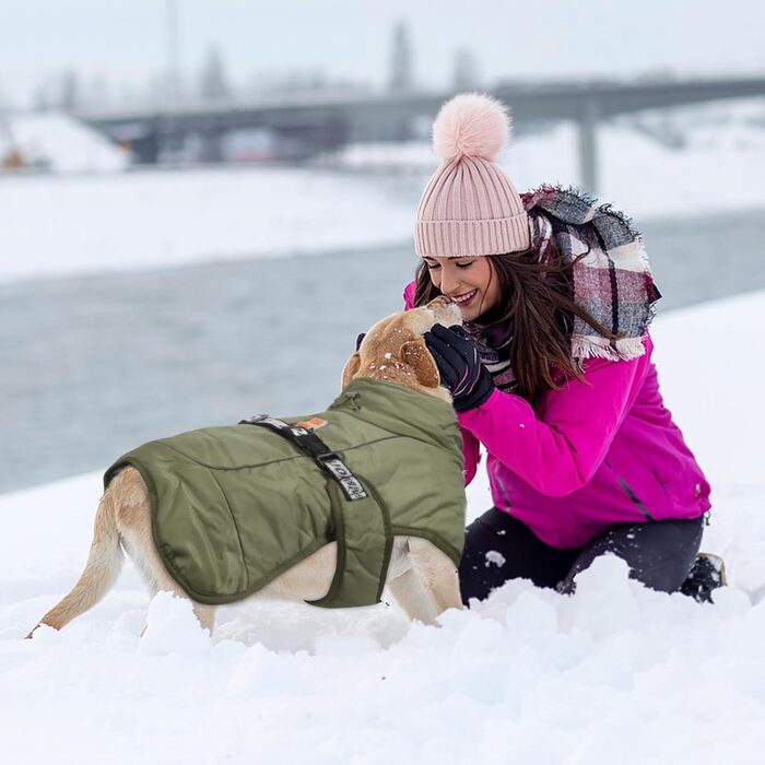 Зимовий одяг для собак FeimaX: теплий, вітронепроникний зимовий одяг для середніх та великих собак. Відображаючий, регульований жилет для тварин з кільцем D (зелений, 6XL)