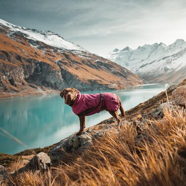 Собачий жилет Wilderdog з флісу та неопрену, розмір M, ягідний колір