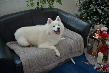 М'яка ковдра для домашніх тварин Raikou: ковдра для собак та котів з плюшевою подушкою, флісова, зручна та нековзна