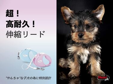 Рулетка для собак і котів Flexi Hundeleine, 2 м, блакитна