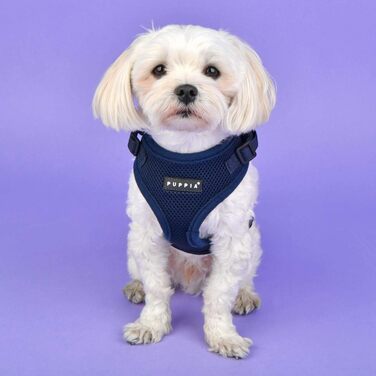 Шлея Puppia Ritefit для малих і середніх собак, регульована, м'яка, проти ривків, для цуценят, помаранчева, розмір L