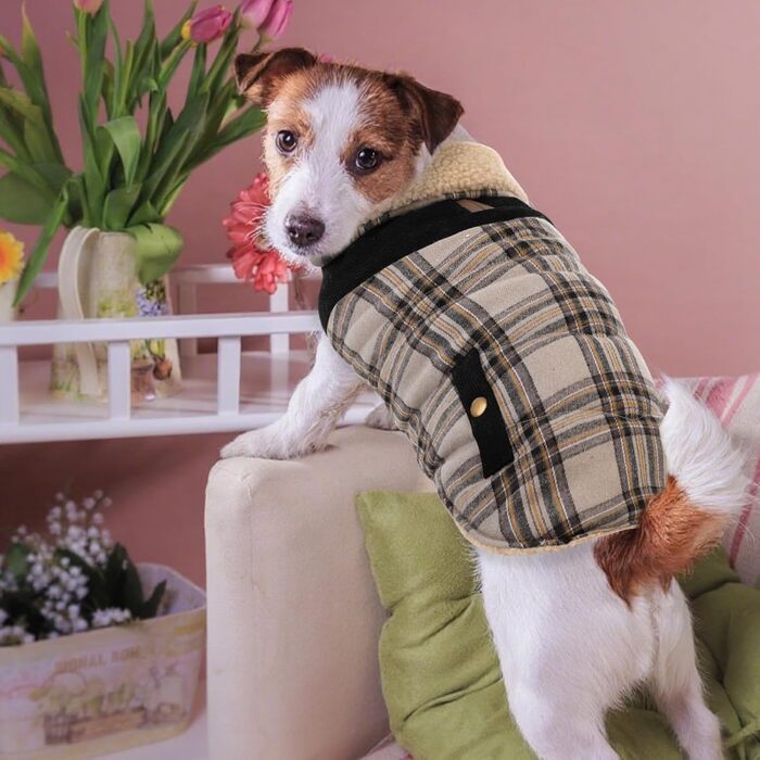 Зимова куртка для великих собак, вітронепроникна, для холодної погоди, одяг для тварин, куртка від снігу, для Голден Ретрівера, Лабрадора, Хаскі, Бежева, XL X-Large