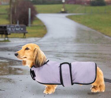 Дощовик для собак Geyecete, регульований, водовідштовхуючий, для такс, з світловідбиваючими ременями, з поясом на липучці, розмір M (довжина спини 42-45 см), колір фіолетовий