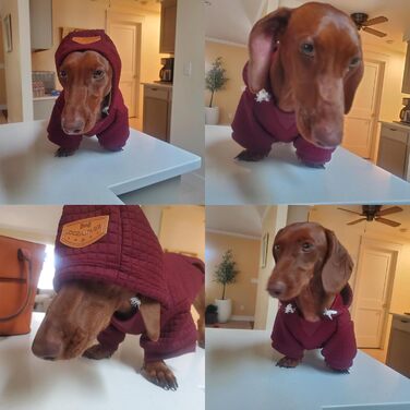 Світшот для великих собак BEAUTYZOO з кишенями, одяг для собак, підходить для маленьких та середніх собак, хлопчиків та дівчаток, матеріал – вафельна ламінована бавовна, халат для домашніх тварин з отвором для шапки, розмір 2XL (Спина: 69 см, Груди: 90 см