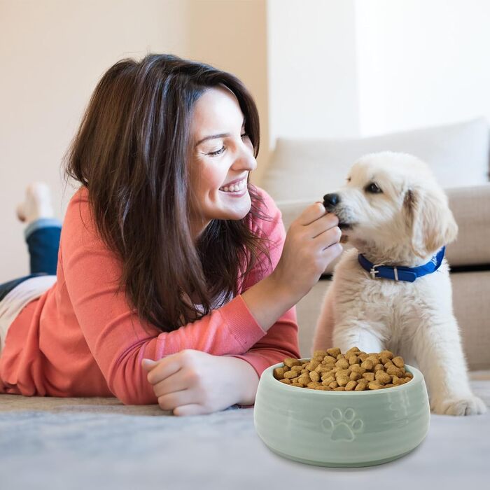 Керамічні годівниці для собак 2 шт., 16 см діаметр x 6,1 см висота, годівниці для домашніх тварин, миска для їжі та води для цуценят, миска для котів, захищає шийний відділ хребта, для собак та котів маленьких та середніх порід, зелений