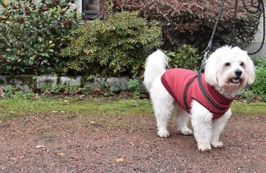 Теплий зимовий нашийник для собак Bobby Easy з інтегрованим повідком, Bordeaux, 34 см